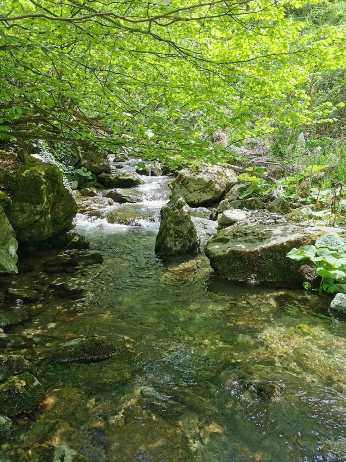 Std Cvetkovic Bed and Breakfast Crni Vrh Εξωτερικό φωτογραφία